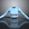 Fashionable Light Blue Long Sleeve Cropped Top for Daily Casual Wear