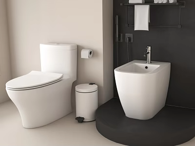 Modern White Toilet In Bathroom With Trash Can Toilet Paper Roll And Sink 3d model