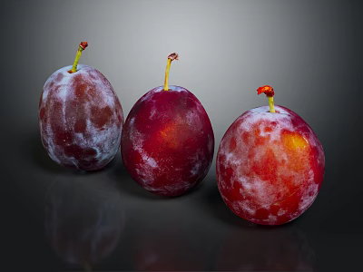 Three Vibrant Red Purple Plums With Frosty Bloom On Dark Reflective Background 3d model