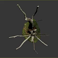 Tall Dead Tree With White Trunk And Green Moss At Bottom On Dark Background