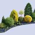 Ground Cover Plants With Green Shrubs Yellow Rounded Bushes And Purple Flowering Plants