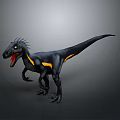 Black and Yellow Velociraptor Dinosaur With Spiked Head Open Mouth And Yellow Eyes