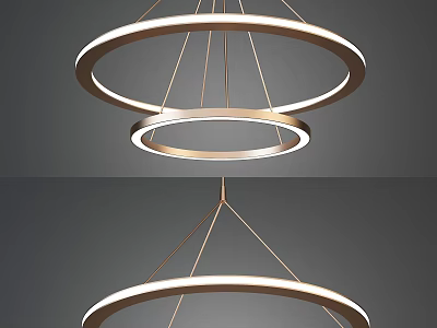 Modern Double Ring Hanging Chandelier With Golden Circular Frames And Illuminated Design 3d model