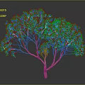Green Leafy Tree With Brown Trunk And Lush Foliage Against Gray Background