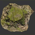 Mossy Wooden Tree Stump Decor With Natural Stone Base And Textured Surface 3d model