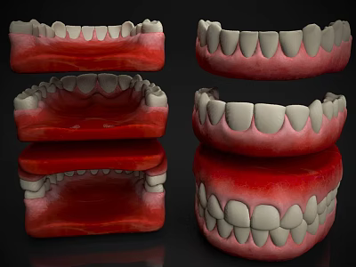 Dental Teeth Models Showing Upper Lower Jaw Structure With Red Gums And White Enamel 3d model