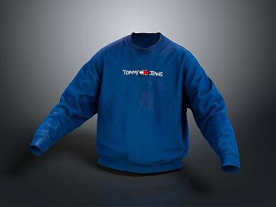 Blue Tommy Hilfiger Sweatshirt With Classic Logo Casual Comfortable Ideal For Daily Outfits 3d model