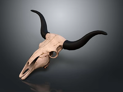 Detailed Animal Skull With Long Black Horns On Dark Surface 3d model