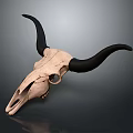 Detailed Animal Skull With Long Black Horns On Dark Surface