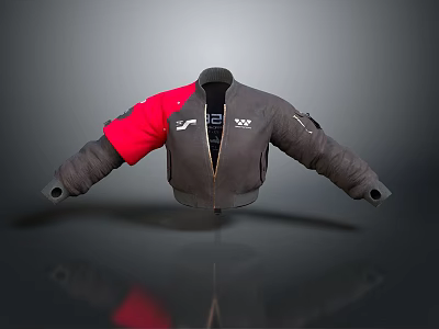 Gray Bomber Jacket With Red Sleeve Zipper Closure And Branded Patches 3d model