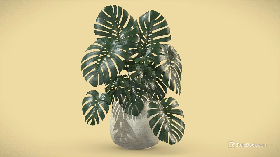 Monstera Potted Plant with Large Green Leaves in Gray Vase on Yellow Background 3d model 
