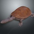 Turtle Turtle Cartoon Turtle Snapping Turtle Chickbill Turtle Reptile Cold Blooded Animal Reptile Reptile Class 3d model