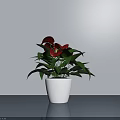 Beautiful Bonsai Potted Plant With Red Flowers Green Leaves In White Pot On Gray Background