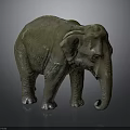 Detailed Grayish Green Textured Elephant Model Standing On Dark Background