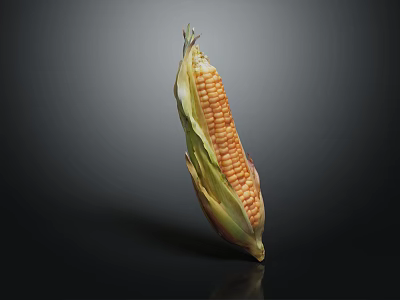 Fresh Sweet Corn With Green Outer Leaves Placed On Black Reflective Surface 3d model