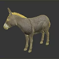 Detailed Lifelike Grey Donkey Standing On Dark Background