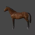 Detailed Brown Horse Standing Against Light Blue Background In 3D Rendering