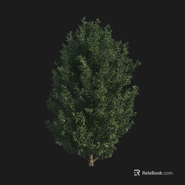 Vibrant Arbor With Dense Green Foliage And Natural Canopy Structure 3d model 