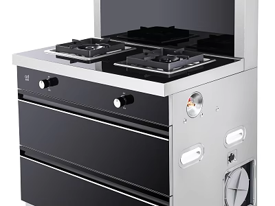 Integrated Kitchen Appliance With Gas Burners Range Hood Black Panel And Stainless Steel 3d model