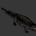 Realistic Crocodile Head Close Up Showing Open Mouth Sharp Teeth And Textured Skin