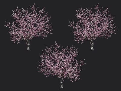 Three Beautiful Blooming Trees With Pink Flowers And Delicate Branches 3d model