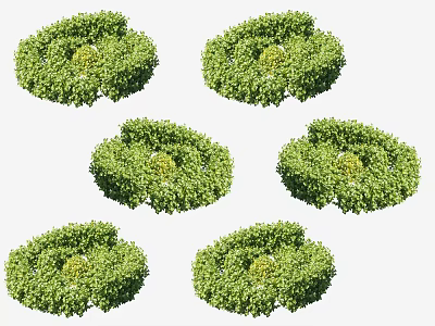 Six Round Green Plants With Vibrant Yellow Centers In Lush Foliage 3d model
