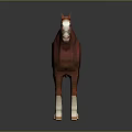 Chestnut Horse With White Legs And Hooves Wearing Bridle Isolated On Gray Background