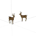 Two Brown Deer With Antlers Standing On White Background In Natural Stance