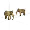 Two Large Realistic Elephant Models Standing On White Background With Tusks