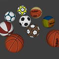 Assorted Sports Equipment Balls Including Basketball Soccer Volleyball And Brands Molten Spalding Mitre