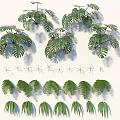 Living Plant Wall With Lush Green Foliage And Diverse Indoor Plant Design