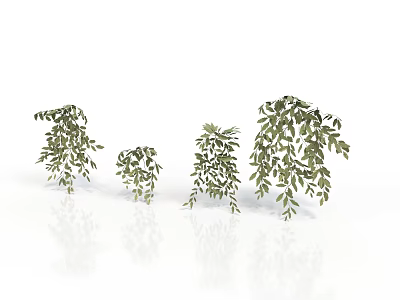 Green Hanging Plants With Different Sizes And Lush Leaves For Indoor Decoration 3d model