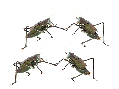 Four Green Reptile Lizards With Long Legs Crawling On White Surface 3d model