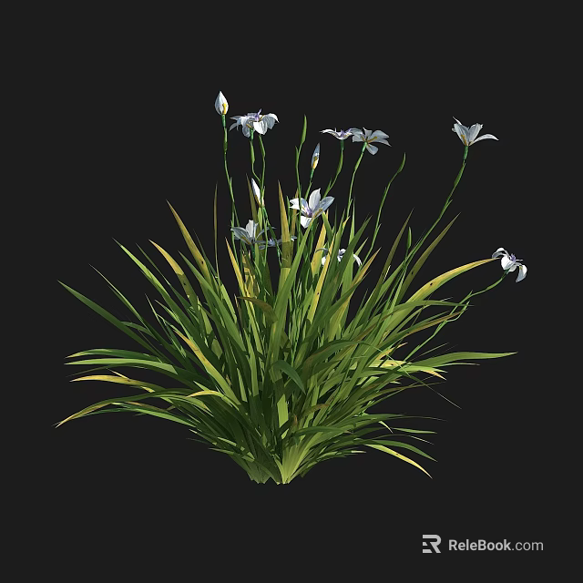 Lush Green Grass Like Plants With White Flowers And Slender Stems 3d model 