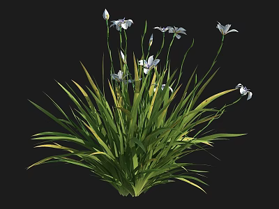 Lush Green Grass Like Plants With White Flowers And Slender Stems 3d model