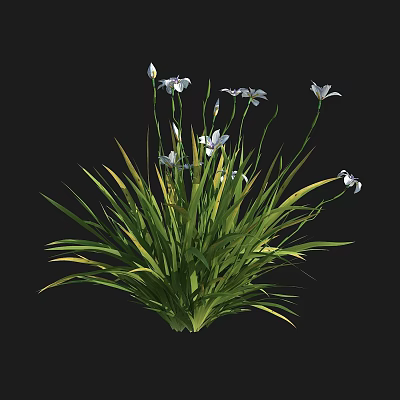 Lush Green Grass Like Plants With White Flowers And Slender Stems 3d model