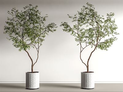 Modern potted plant potted landscape tree 3d model