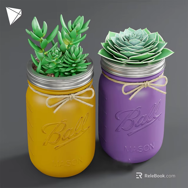Succulent Bonsai in Yellow Purple Glass Jars with Silver Lids and Jute Rope Bows 3d model 