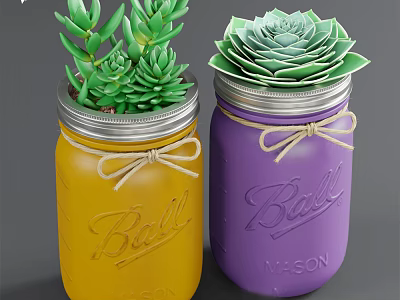 Succulent Bonsai in Yellow Purple Glass Jars with Silver Lids and Jute Rope Bows 3d model