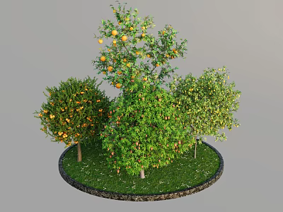 Multiple Fruit Trees with Orange Fruits in Circular Green Grass Area 3d model