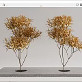 Two Golden Leaf Trees Planted on Gray Stone Slab with White Background 3d model