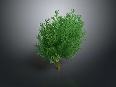 Green Bushy Tree With Dense Leaves For Garden Landscape Decoration 3d model
