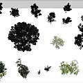 Modern tree bamboo 3d model