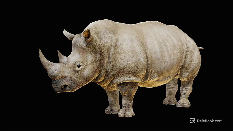 Lizard Reptile With Rough Scaly Skin In Arid Desert Habitat 3d model 