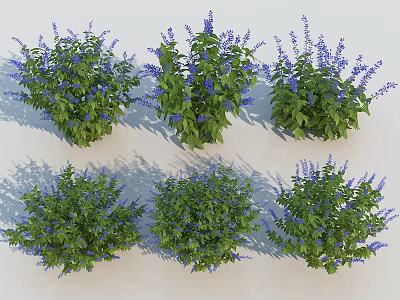 Six Potted Green Plants With Purple Flowers Arranged On White Background 3d model