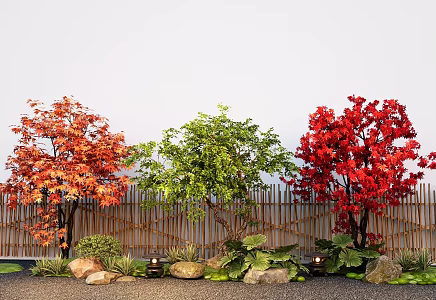 Arbor modeling tree red maple old pile maple courtyard sketch landscape stone 3d model