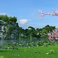 Scenic Lake View With Water Lilies Pink Flowering Trees Rocky Outcrop And Green Grass