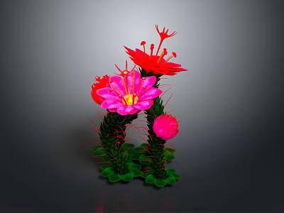 3D Rendered Cactus Plant With Red And Pink Flowers And Green Leaves Stems 3d model