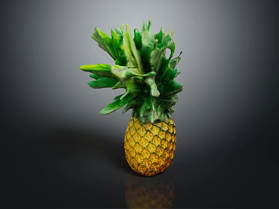 Fresh Yellow Pineapple with Green Leafy Top on Dark Background and Clear Reflection 3d model