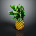 Fresh Yellow Pineapple with Green Leafy Top on Dark Background and Clear Reflection